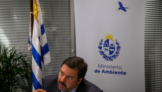 Casa nueva, vida nueva