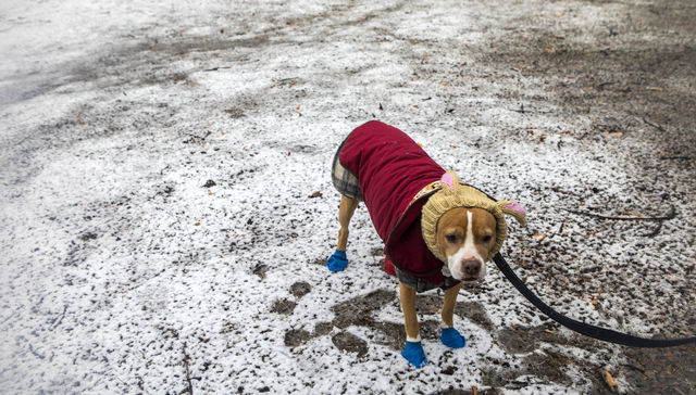 Por The New York Times