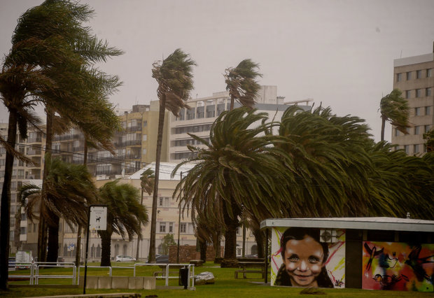 Foto: Montevideo Portal (archivo)