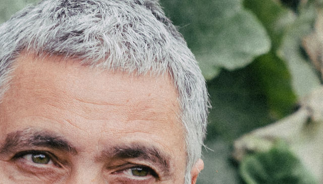 Secreto que guardan las florestas