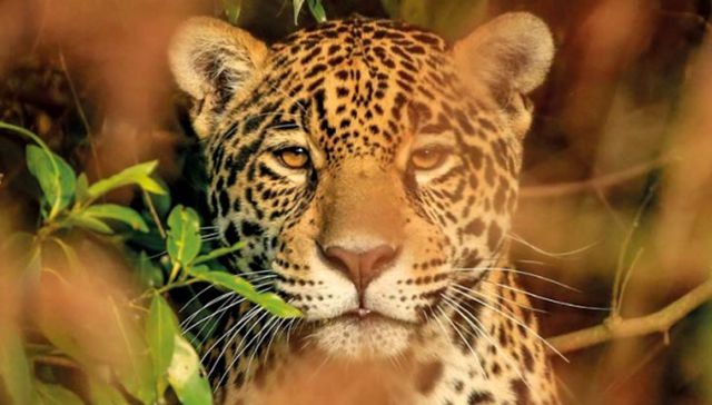 Convivir en naturaleza