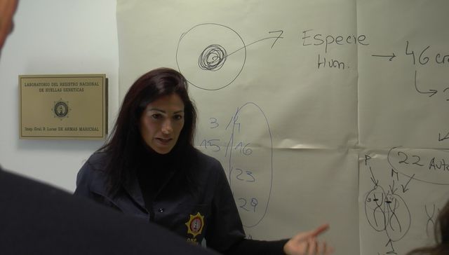 Persevera y triunfarás