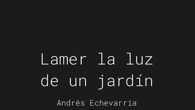 Somos un elfo en la brisa