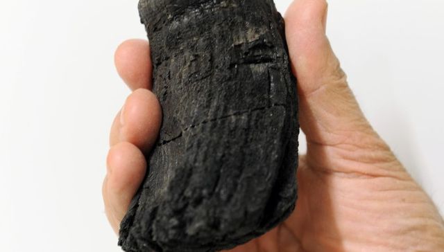 Exageraciones de pescadores