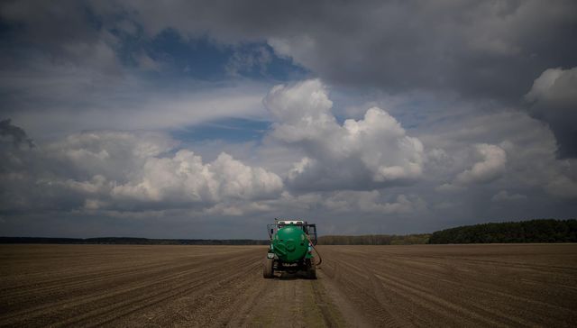 Do They Know It's Christmas?