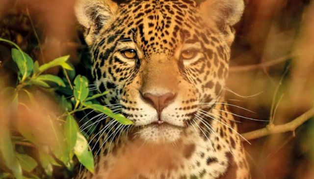 Convivir en naturaleza