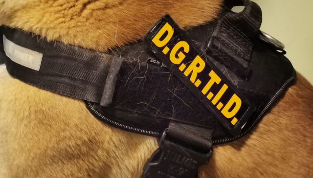 De la pasarela a la celda