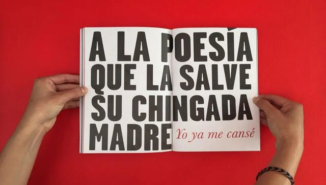 Detectives y salvajes