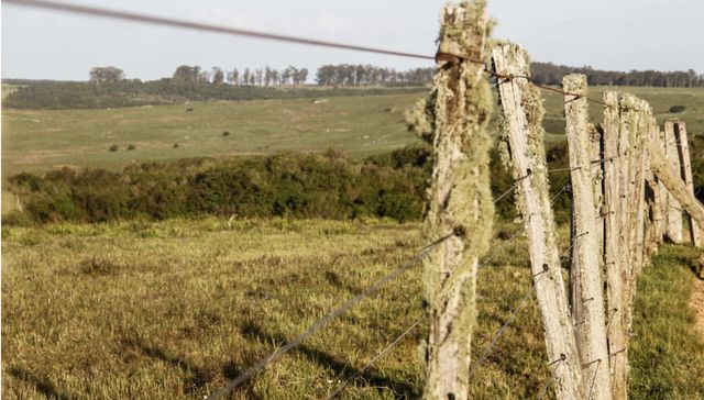 Escribe Santiago Gutiérrez Silva