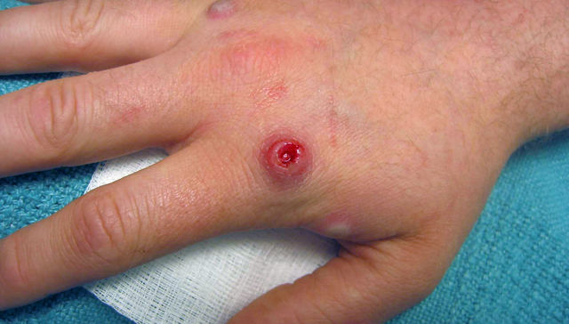 Por The New York Times