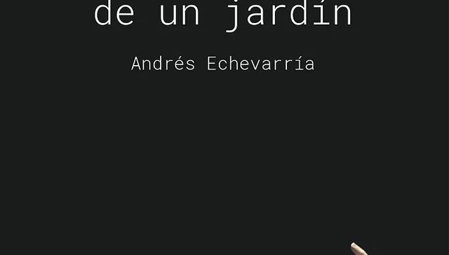 Somos un elfo en la brisa