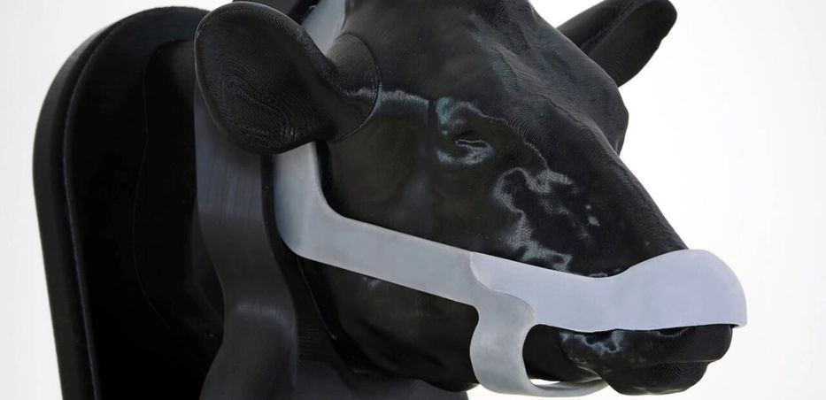 Cow mask fighting climate change wins Prince Charles award