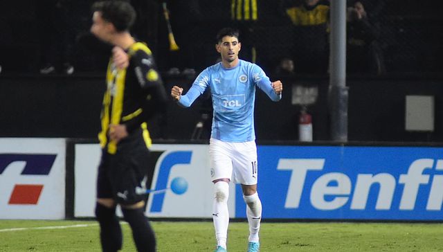 Leña del manya caído