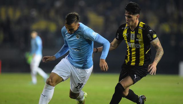 Zorrito internacional