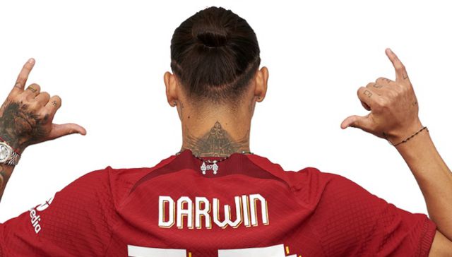 Los verdaderos números