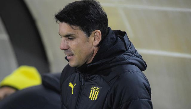 Las explicaciones del caso