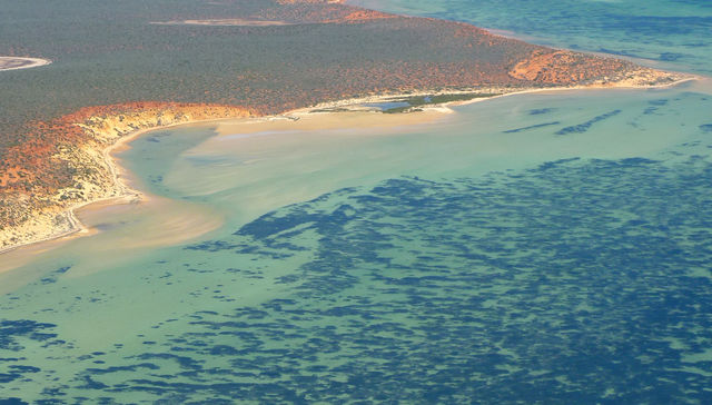 Por The New York Times