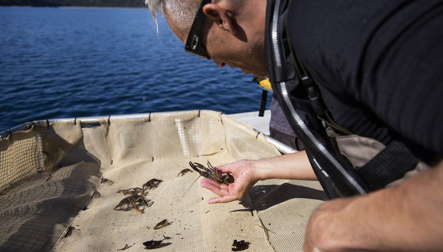 Por The New York Times