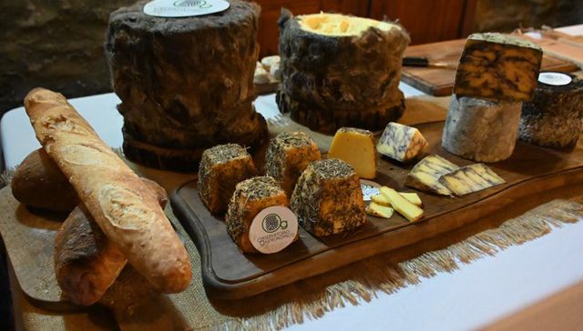 Probando y comprobando