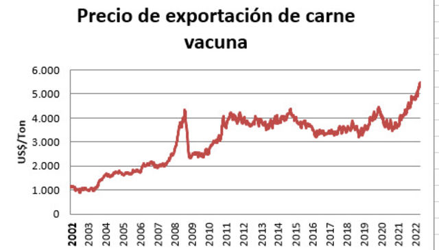 Escribe Eduardo Blasina