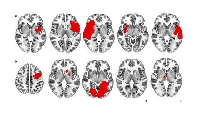 Por The New York Times