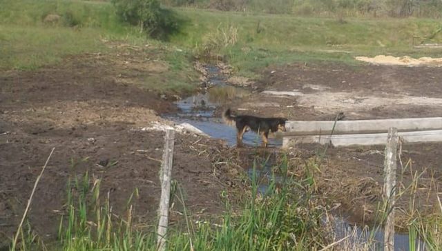 Vecinos en alerta ambiental