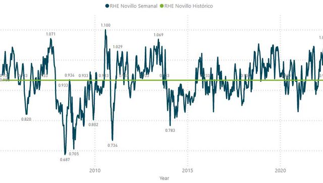 La carne y su contexto