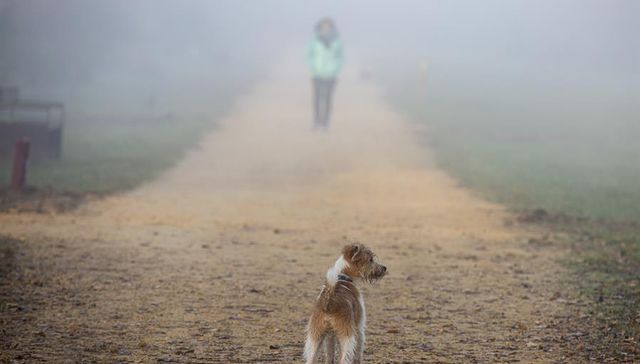 ¡Scooby-Doo!, ¿dónde estás?