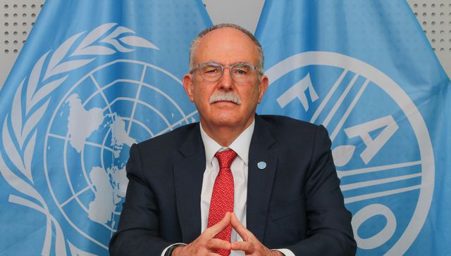Escribe Julio Berdegué