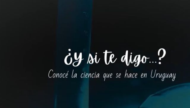 "¿Y si te digo...?"