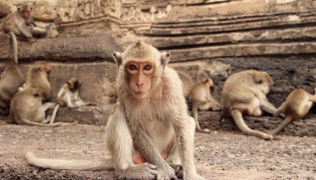 Buscado vivo o muerto
