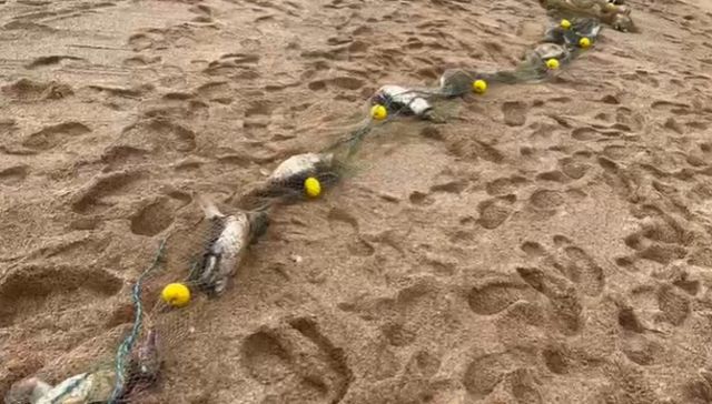 Las cosas feas que pasan en el mar