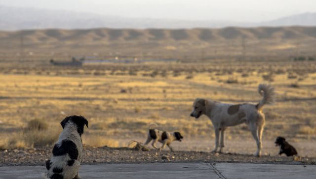 Llamado de atención
