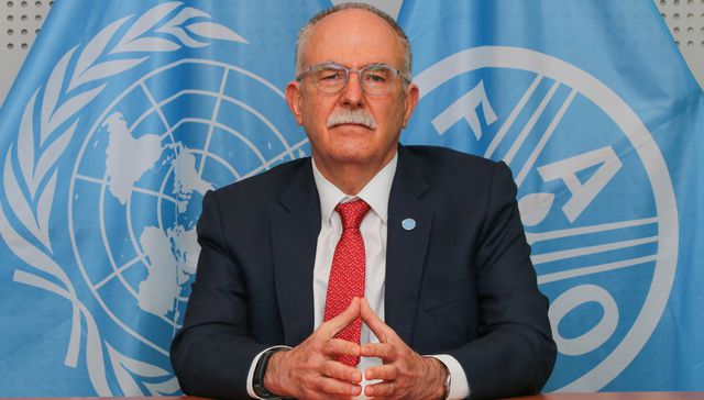 Escribe Julio Berdegué