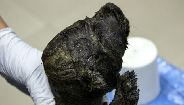 Por The New York Times