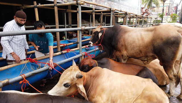 Escribe Eduardo Blasina