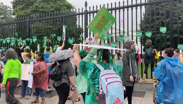 Volver a los derechos