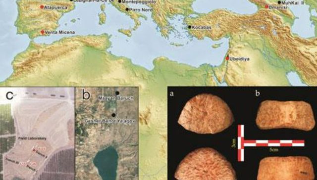 La primera y la segunda