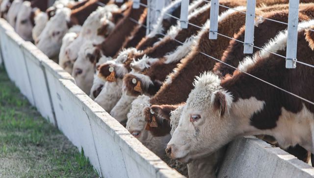 Propuestas y aspiraciones