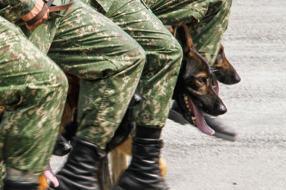 “Cuidado”: desde Cabildo hasta Orsi reaccionaron por militares que patrullarán barrios
