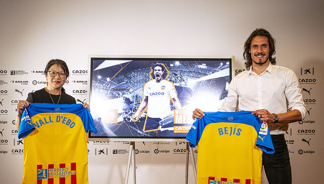 Se terminó la novela