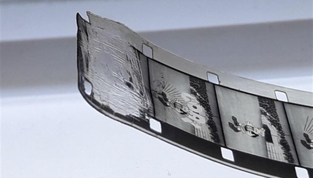 En tu cara, ratón Miguelito