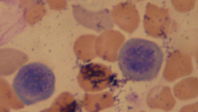 Contactos que sirven