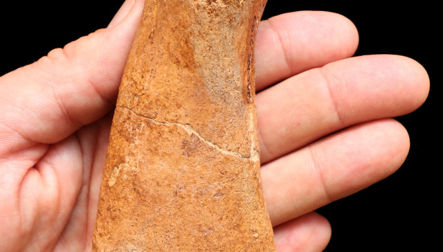 Por The New York Times