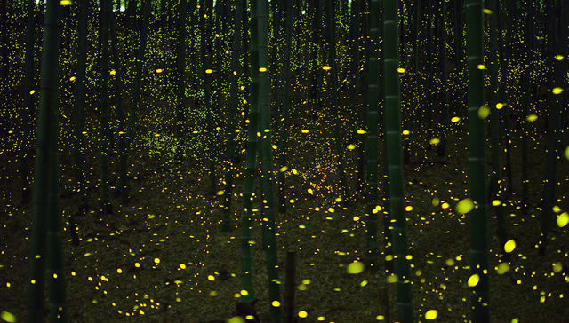 A lo oscuro y al tanteo