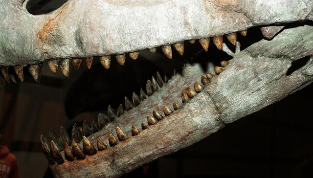 Encontraron a pie pequeño