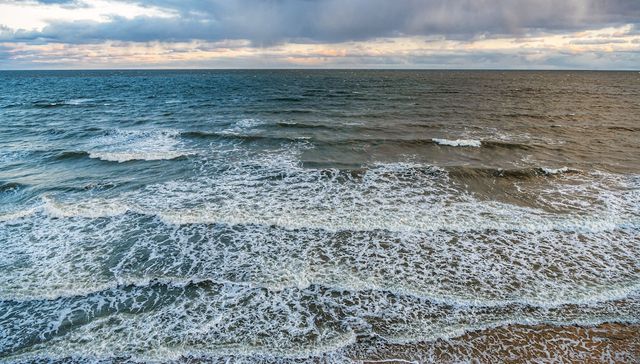 Reparto al por mayor