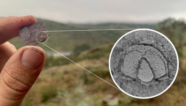 Allá lejos y hace tiempo