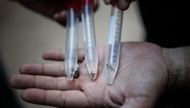 Lo último que se pierde