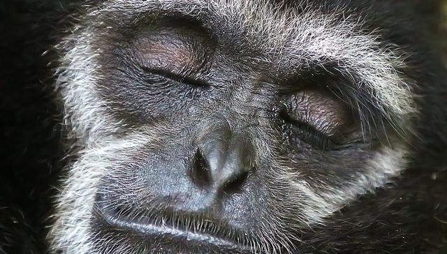 Despacito y por las piedras